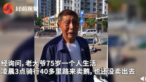 老汪爆料老梁视频全集下载,老梁视频全集下载全攻略  第1张