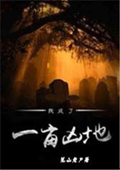 凶地 在线观看,在线揭秘神秘凶案现场  第2张